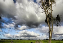 安博体育官网:米体:国米在加州大学洛杉矶分校备战世俱杯,三冠王赛季在此夏训.