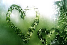 安博体育官网:加的夫后卫黄添喜成我国永久居民 代表雄狮上阵更近一步.