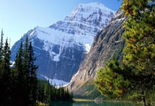 马卡:工作无成效,塞尔塔CEO以及财务总监已被解职.