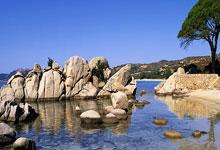 安博体育官网:早报:魔人自己也成了巧克力.